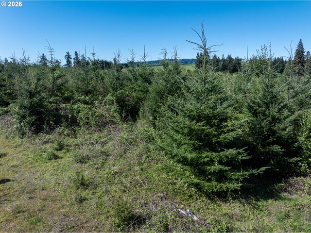 0 Whitney Rd, Rainier, OR 97048