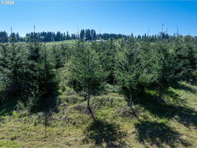 0 Whitney Rd, Rainier, OR 97048