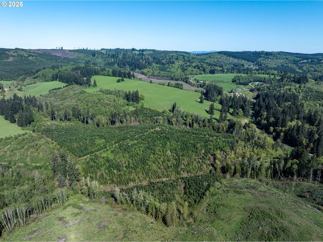 0 Whitney Rd, Rainier, OR 97048