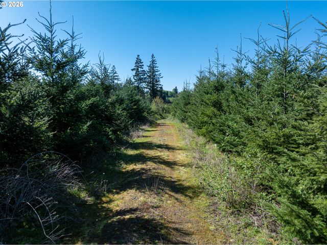 0 Whitney Rd, Rainier, OR 97048