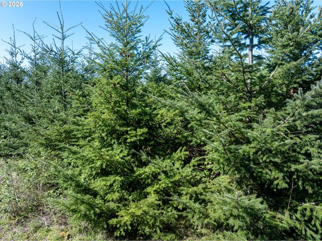 0 Whitney Rd, Rainier, OR 97048