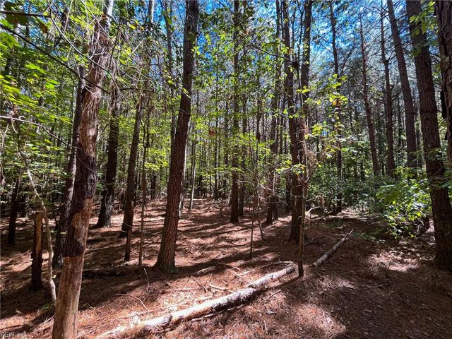 15 Acres Cypress Chapel RD, Suffolk, VA 23434