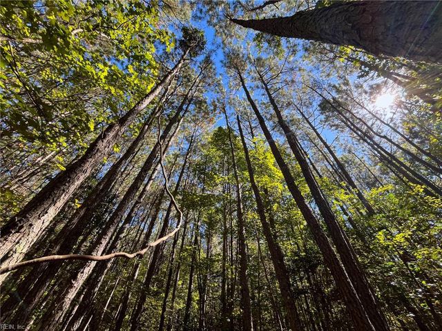 15 Acres Cypress Chapel RD, Suffolk, VA 23434