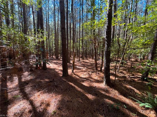 15 Acres Cypress Chapel RD, Suffolk, VA 23434