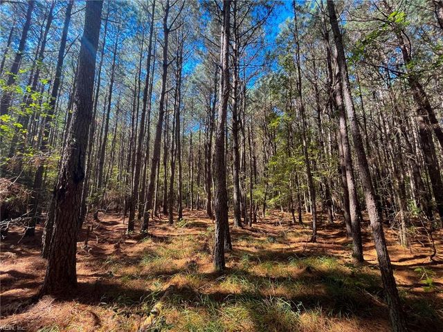 15 Acres Cypress Chapel RD, Suffolk, VA 23434