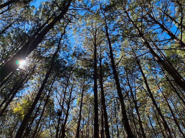 15 Acres Cypress Chapel RD, Suffolk, VA 23434