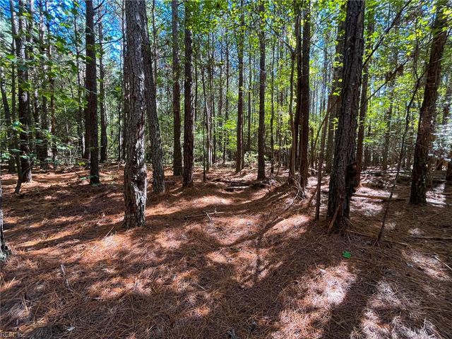 15 Acres Cypress Chapel RD, Suffolk, VA 23434