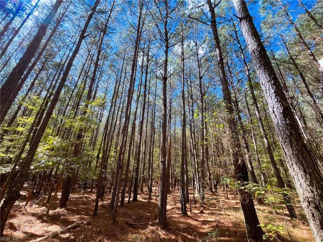15 Acres Cypress Chapel RD, Suffolk, VA 23434