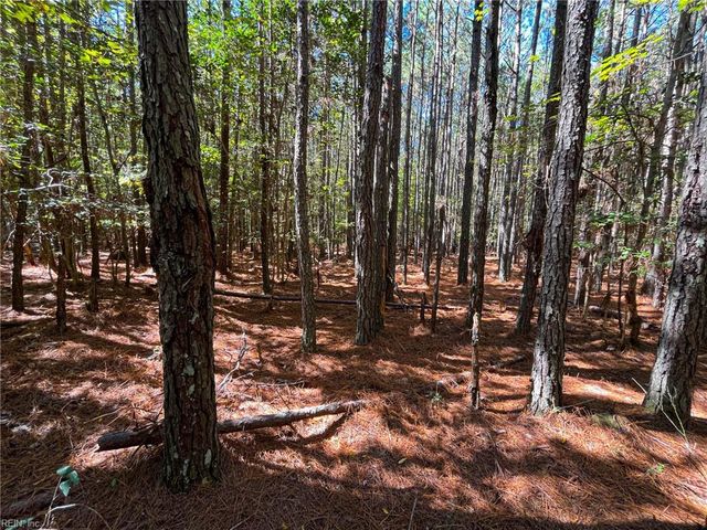 15 Acres Cypress Chapel RD, Suffolk, VA 23434