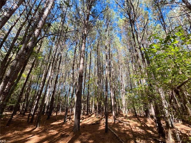 15 Acres Cypress Chapel RD, Suffolk, VA 23434