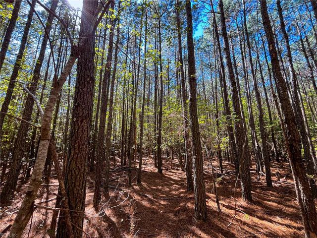 15 Acres Cypress Chapel RD, Suffolk, VA 23434