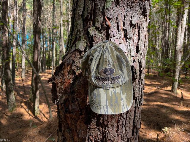15 Acres Cypress Chapel RD, Suffolk, VA 23434