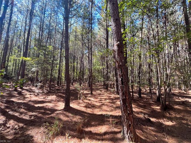 15 Acres Cypress Chapel RD, Suffolk, VA 23434
