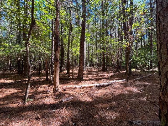 15 Acres Cypress Chapel RD, Suffolk, VA 23434