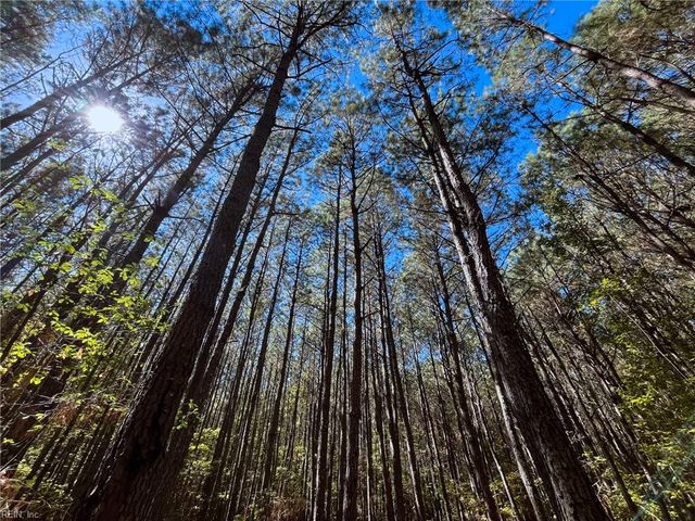 15 Acres Cypress Chapel RD, Suffolk, VA 23434