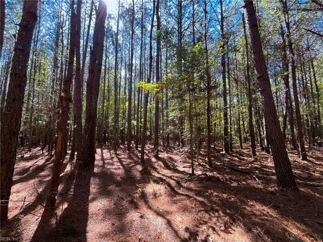 15 Acres Cypress Chapel RD, Suffolk, VA 23434