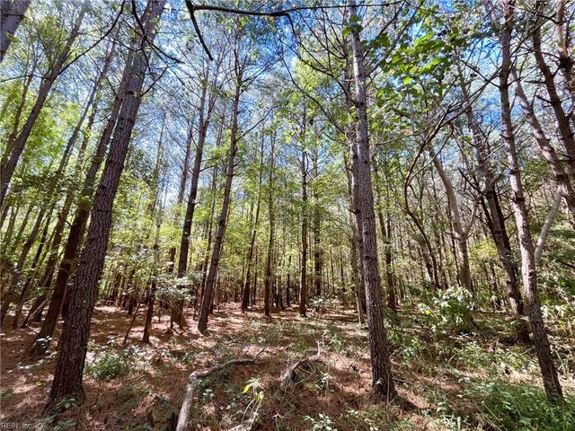 15 Acres Cypress Chapel RD, Suffolk, VA 23434