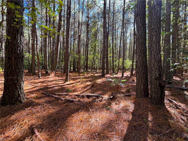 15 Acres Cypress Chapel RD, Suffolk, VA 23434