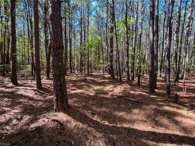 15 Acres Cypress Chapel RD, Suffolk, VA 23434
