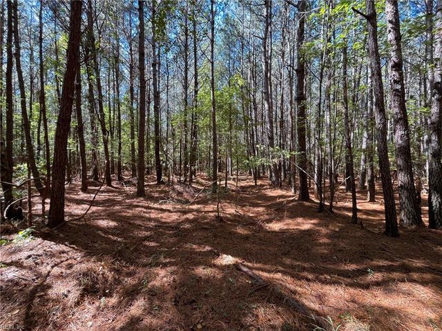15 Acres Cypress Chapel RD, Suffolk, VA 23434