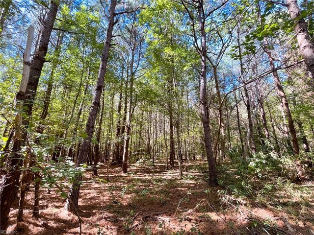 15 Acres Cypress Chapel RD, Suffolk, VA 23434