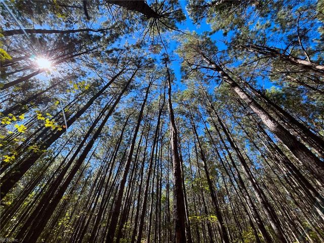 15 Acres Cypress Chapel RD, Suffolk, VA 23434