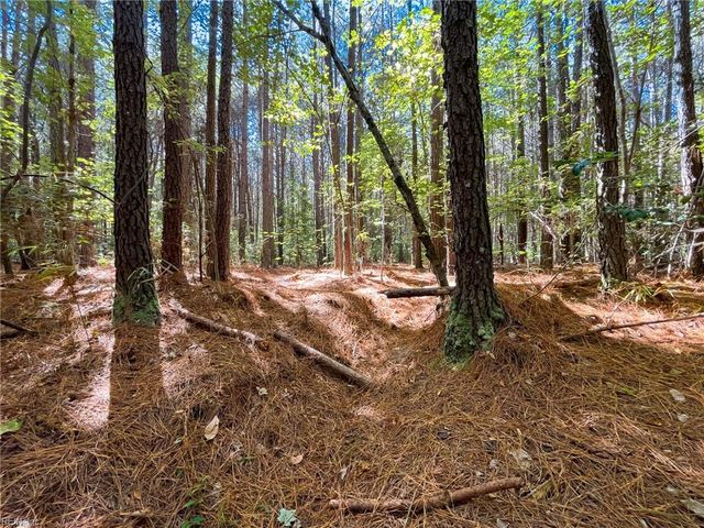 15 Acres Cypress Chapel RD, Suffolk, VA 23434