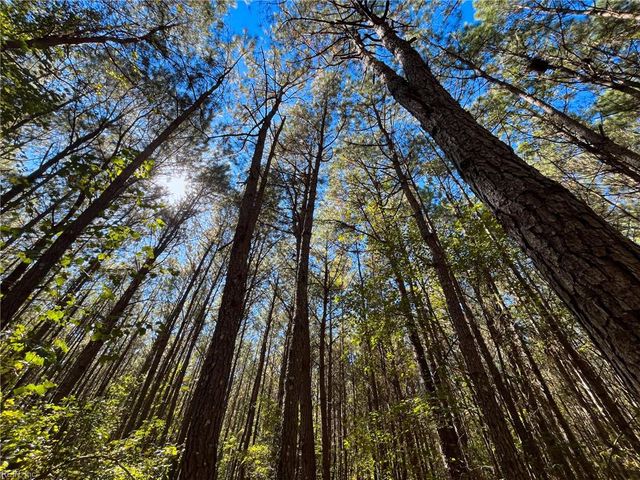 15 Acres Cypress Chapel RD, Suffolk, VA 23434
