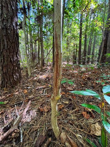 15 Acres Cypress Chapel RD, Suffolk, VA 23434