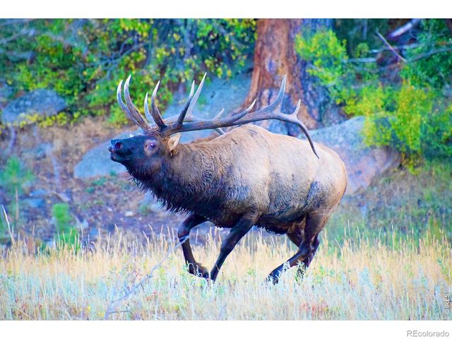1141 Fairway Club Circle 3, Estes Park, CO 80517