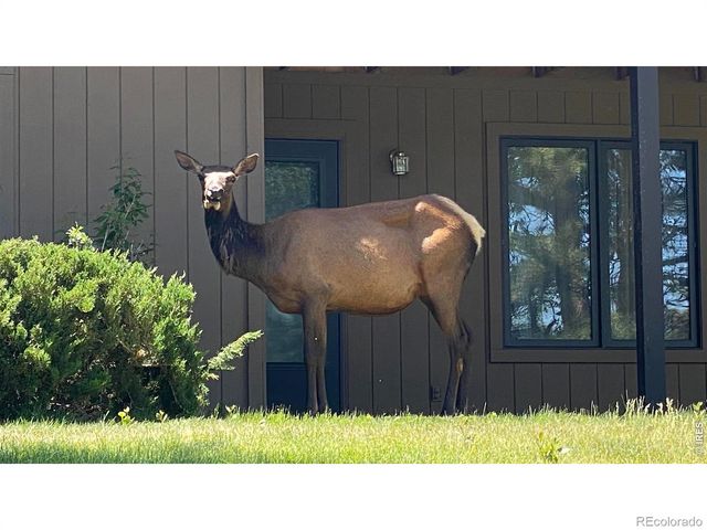 1141 Fairway Club Circle 3, Estes Park, CO 80517