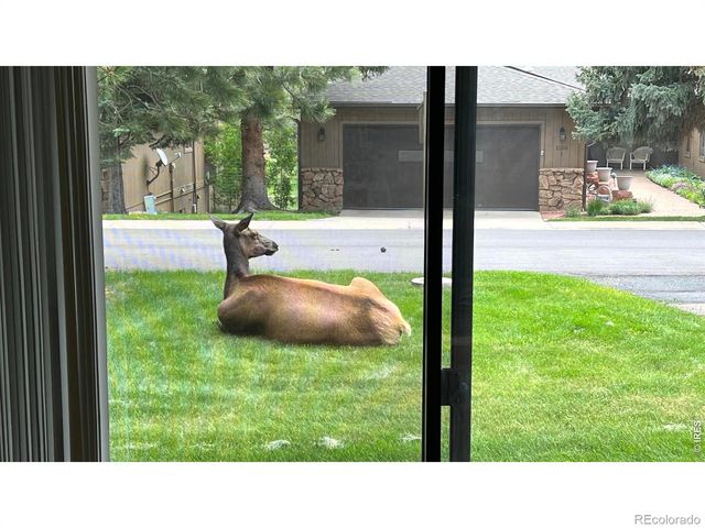 1141 Fairway Club Circle 3, Estes Park, CO 80517