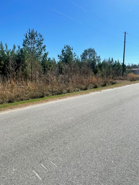 Image 1 of property listing at 0 Herndon Street, Walterboro, SC 29488