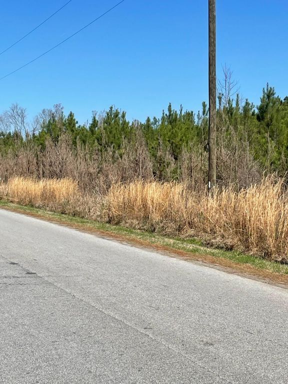 Image 2 of property listing at 0 Herndon Street, Walterboro, SC 29488