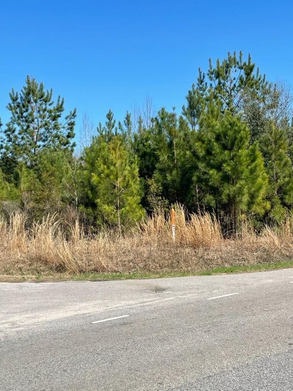 Image 3 of property listing at 0 Herndon Street, Walterboro, SC 29488