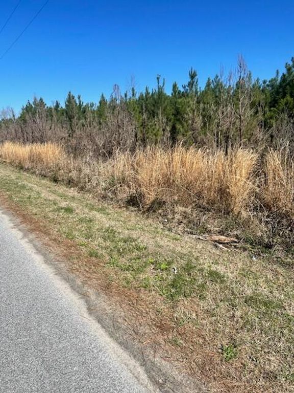 Image 4 of property listing at 0 Herndon Street, Walterboro, SC 29488