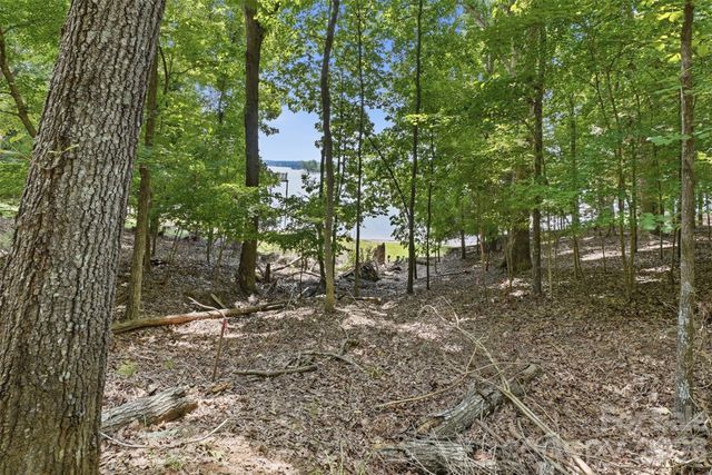 TBD Marlette Drive, York, SC 29745