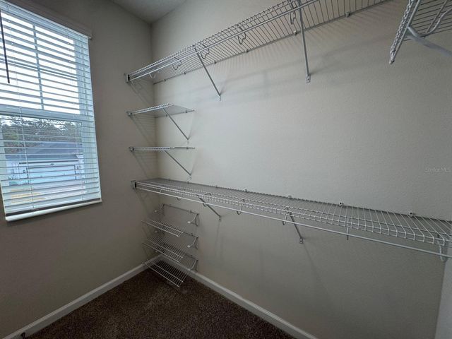 498 LADY PALM STREET, Apopka, FL 32703