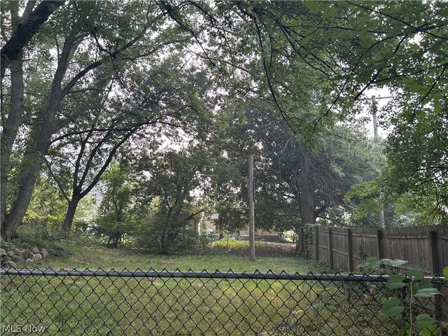 1012 Kling Street, Akron, OH 44301