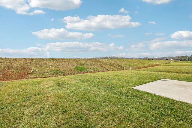 1528 Bear Branch Trace, Columbia, TN 38401