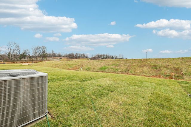 1528 Bear Branch Trace, Columbia, TN 38401