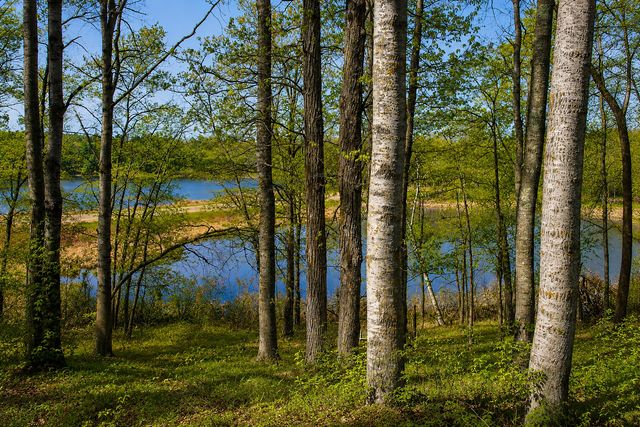 13579 Hillcrest Lane SW, Pillager, MN 56473