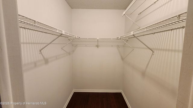 14921 Old Pointe Road, Tampa, FL 33613