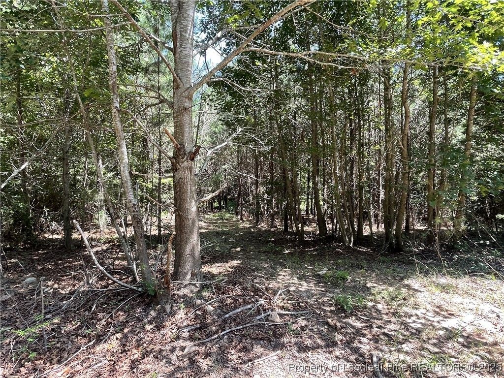 0 Henschel Lane, Broadway, NC 27505