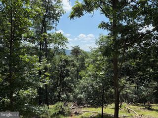 243 BLUFFS ON THE POTOMAC, Romney, WV 26757