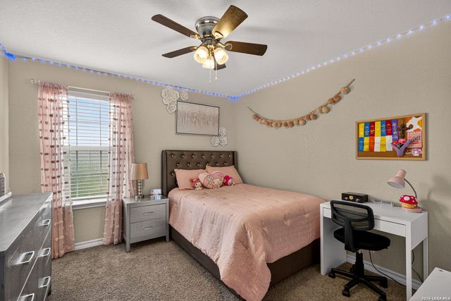 630 Cheeked Pintail, San Antonio, TX 78253