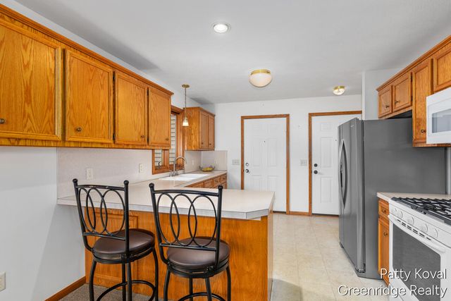 447 Falcon Drive, Wayland, MI 49348