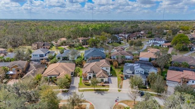 5305 OSPREY RIDGE DRIVE, Lithia, FL 33547