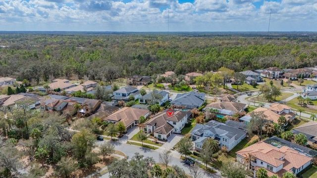 5305 OSPREY RIDGE DRIVE, Lithia, FL 33547