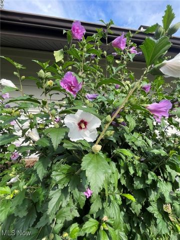 294 South Park Drive, Aurora, OH 44202